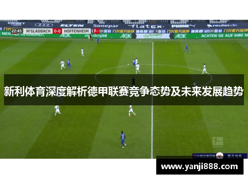 新利体育深度解析德甲联赛竞争态势及未来发展趋势